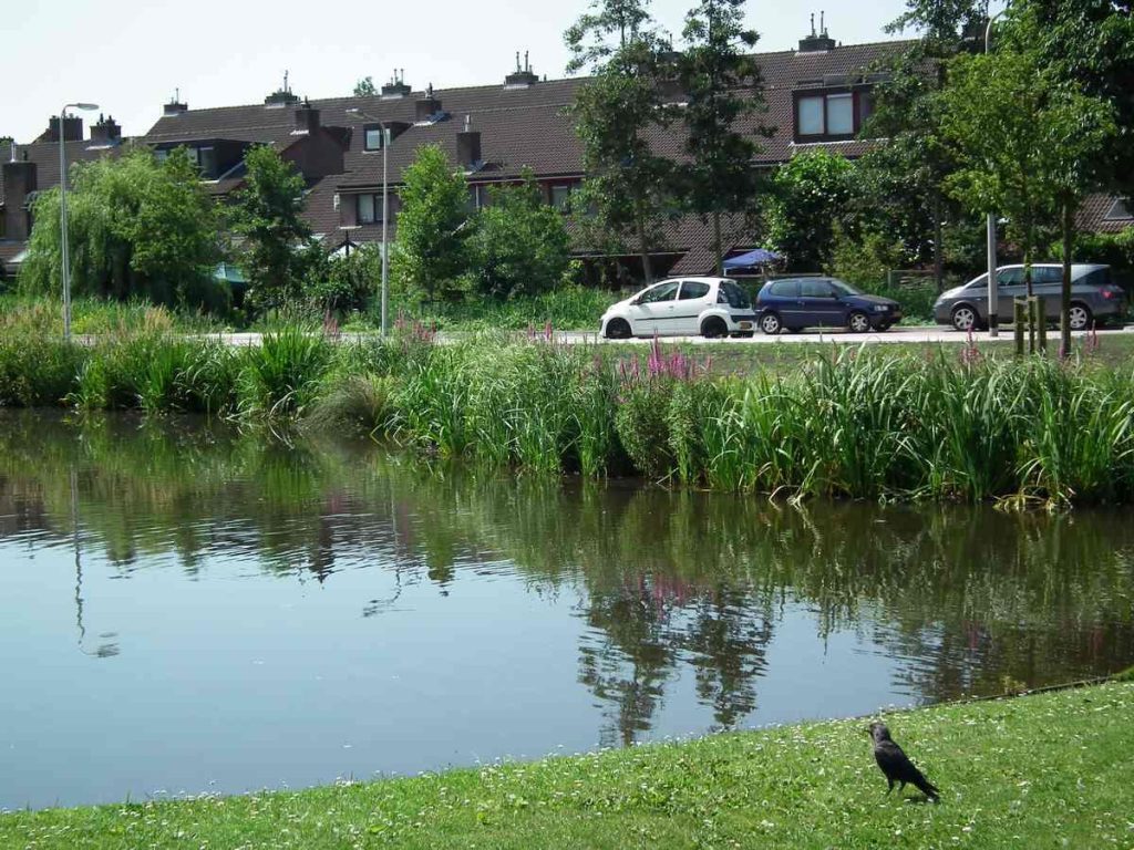Duurzame beschoeiing met gerecycled materiaal en naaldhout voor natuurvriendelijke oeverbescherming