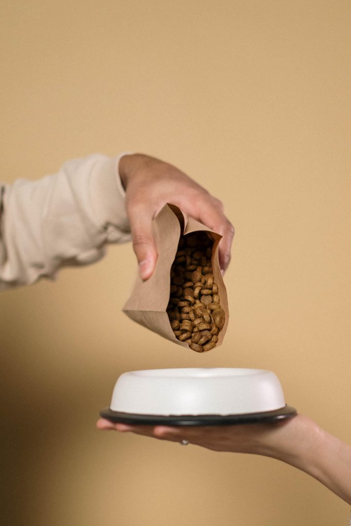 Premium natuurlijke hondenvoeding met vers vlees en groenten voor optimale gezondheid van jouw hond